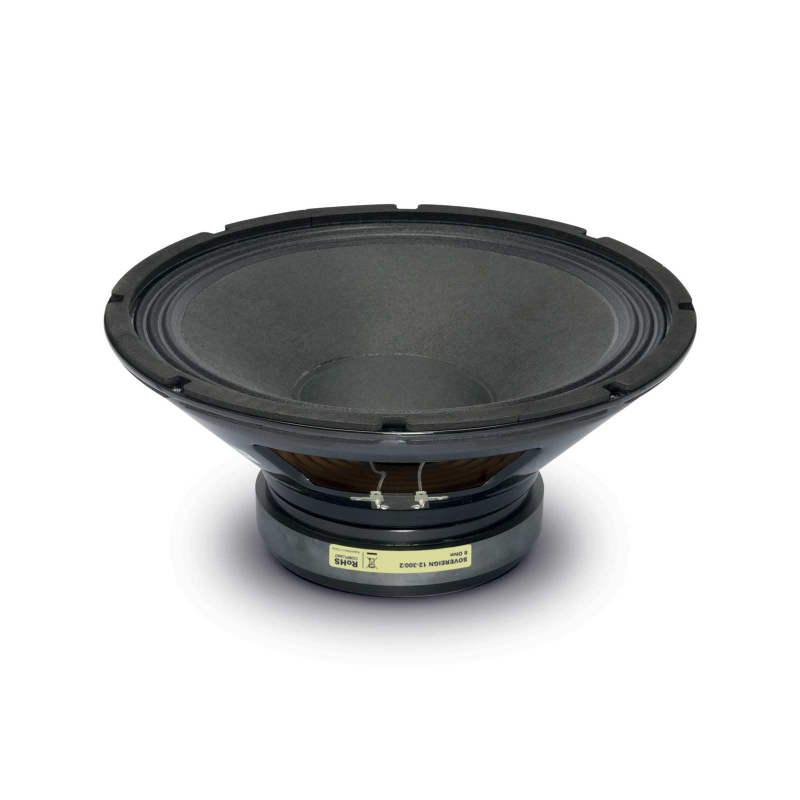 Fane SOVEREIGN 12-300/2 Loudspeaker Driver Face