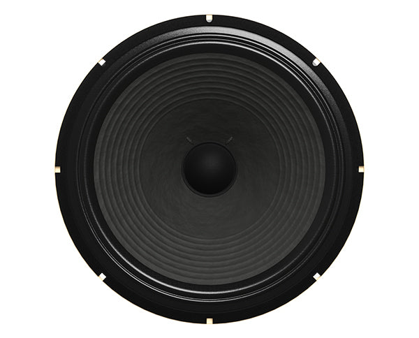 Fane Ascension F25 Guitar Speaker Cone